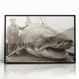 Framed wall art showcasing a striking shark design, featuring vibrant marine life colors on a sleek black background, perfect for ocean-themed decor.