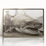 Framed wall art showcasing a striking marine life shark design in vibrant colors, featuring a gold-acrylic frame, perfect for ocean-themed decor.
