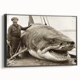 Framed canvas wall art showcasing a striking shark design, featuring vibrant marine colors and intricate detailing, perfect for ocean-themed decor.