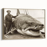 Framed wall art featuring a stunning shark design in marine life theme, showcasing vibrant colors and intricate details, perfect for ocean enthusiasts.