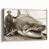 Framed wall art featuring a sleek silver shark design on canvas, showcasing vibrant marine life colors, ideal for ocean-themed decor in modern interiors.