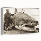 Framed canvas wall art showcasing a shark design in vibrant colors, highlighting marine life aesthetics. The artwork features a sleek white frame and a side view perspective, perfect for ocean-themed decor.