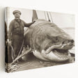 Vibrant stretched canvas wall art showcasing a detailed shark design, featuring shades of blue and gray, ideal for marine-themed decor in homes or offices.