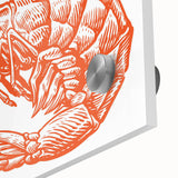 Close-up of vibrant marine life wall art featuring a detailed shrimp design, printed on acrylic glass, showcasing vivid colors and intricate textures. Perfect for ocean-themed decor.