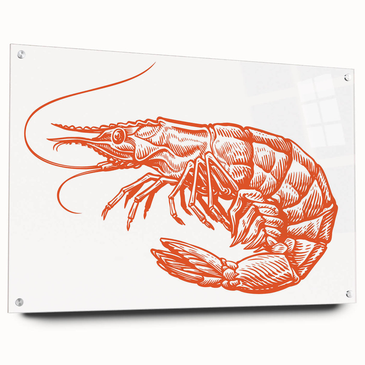 Vibrant acrylic wall art showcasing a detailed shrimp design, elegantly displayed in a side view with decorative pins, perfect for marine life enthusiasts.