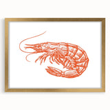 Framed wall art featuring a vibrant marine life shrimp design, set in a stylish gold frame with a mat, ideal for enhancing coastal decor in homes or offices.
