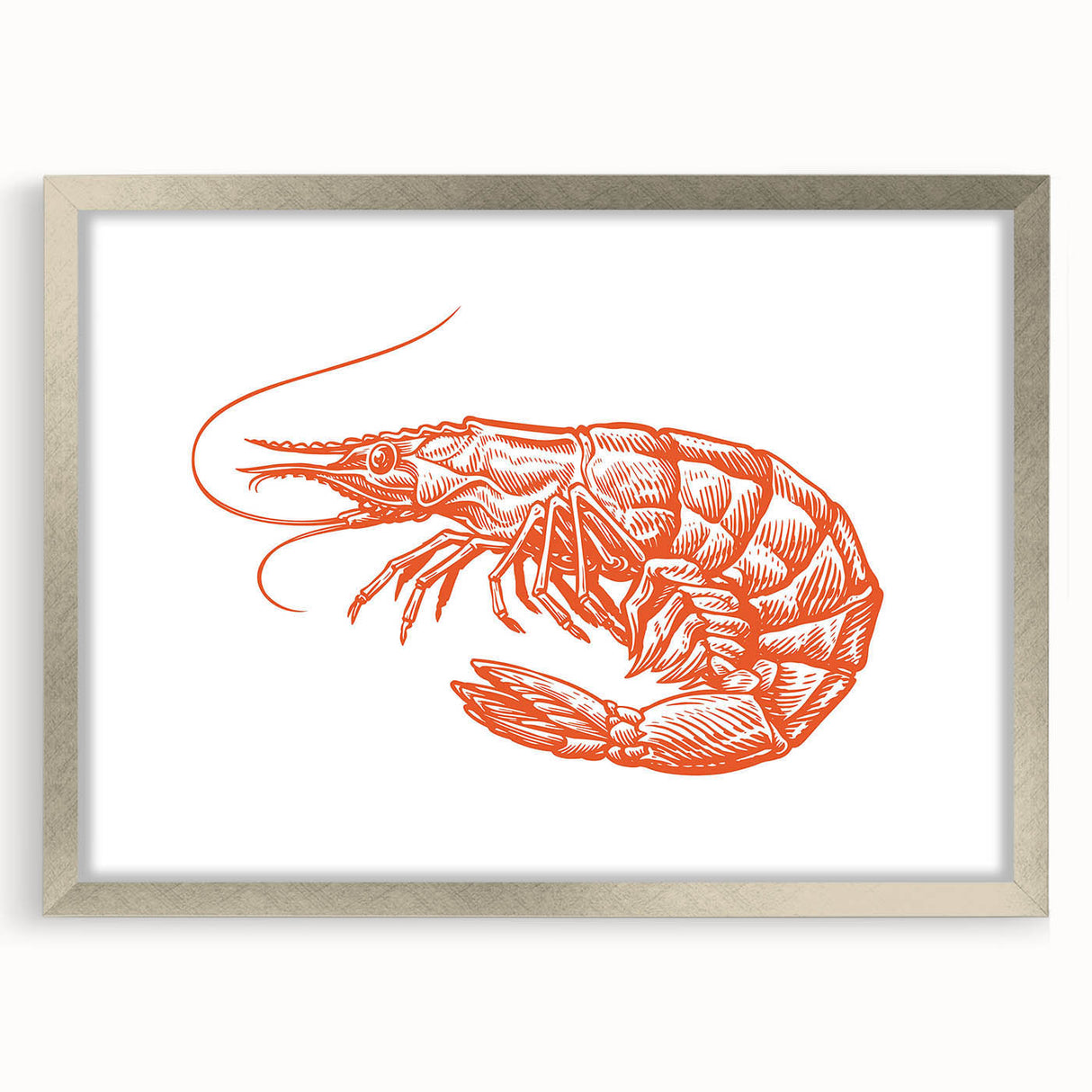 Framed marine life wall art featuring a detailed shrimp design, elegantly matted, with a sleek silver frame, perfect for ocean-themed decor.