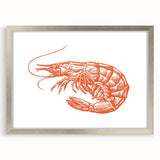 Framed marine life wall art featuring a detailed shrimp design, elegantly matted, with a sleek silver frame, perfect for ocean-themed decor.