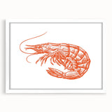 Framed marine life wall art featuring a detailed shrimp design, set against a white backdrop with a mat, perfect for ocean-themed decor in modern interiors.
