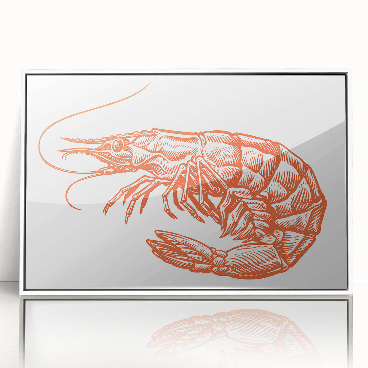 Framed wall art featuring a vibrant shrimp design in a marine life theme, set in a sleek white frame, ideal for ocean-inspired decor and coastal aesthetics.