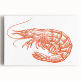 Stretched canvas wall art showcasing a detailed marine life shrimp design against a vibrant blue background, perfect for ocean-themed decor or seafood enthusiasts.