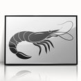 Framed acrylic wall art showcasing a vibrant marine life shrimp design in black, ideal for coastal-themed decor. Perfect for adding a pop of color to any room.