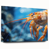 Close-up of a marine life-themed wall art design featuring vibrant shrimp illustrations on acrylic glass, showcasing intricate details and vivid colors, perfect for aquatic decor enthusiasts.