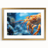 Framed wall art featuring a vibrant marine life shrimp design with a gold mat and frame, perfect for ocean-themed decor. Ideal for enhancing living spaces.