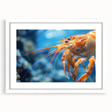 Framed marine life wall art showcasing a vibrant shrimp design in a sleek white mat, perfect for coastal-themed decor, enhancing any living space.