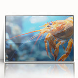 Framed wall art depicting a vibrant shrimp design in marine life theme, featuring a white frame and clear acrylic front, ideal for ocean-inspired decor.