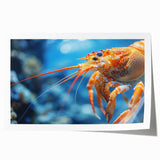 Vibrant marine life wall art design featuring colorful shrimp illustrations on a rolled print, ideal for ocean-themed decor. Packaged securely for delivery.