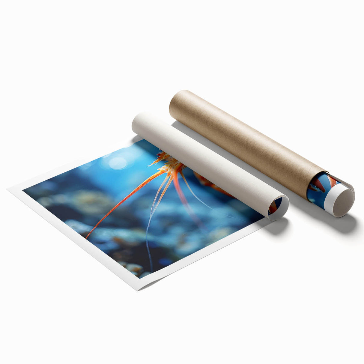Colorful marine life wall art print showcasing a detailed shrimp design against a vibrant blue background, rolled and ready for display in home decor.