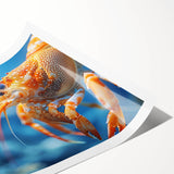 Vibrant rolled print of marine life shrimp design, showcasing intricate details and colors, perfect for ocean-themed decor or art collection.