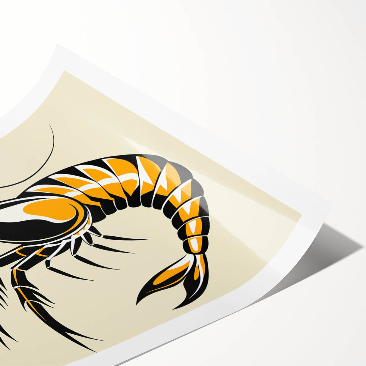 Colorful marine life shrimp design rolled print, showcasing intricate details and vibrant hues, perfect for ocean-themed decor. Packaged securely for delivery.
