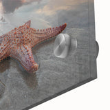 Close-up of a vibrant starfish design wall art piece, showcasing intricate details and colors on acrylic glass, perfect for marine life enthusiasts and coastal decor.