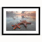 Framed wall art featuring a vibrant starfish design from the Marine Life collection, set against a black mat and frame, perfect for coastal-themed decor.