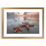Framed wall art featuring a vibrant starfish design with a gold mat, perfect for marine life enthusiasts, showcasing a coastal aesthetic in home decor.