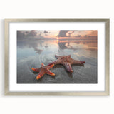 Framed wall art featuring a detailed starfish design against a soft blue background, showcasing marine life elegance with a silver mat for a contemporary look.