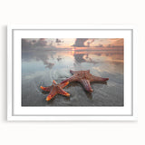 Framed marine life wall art featuring a starfish design, elegantly displayed with a white mat and frame, perfect for coastal home decor.