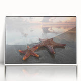 Framed wall art showcasing a vibrant starfish design in shades of blue and orange, set against a crisp white background, perfect for marine-themed décor.