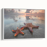 Framed canvas wall art showcasing a vibrant starfish design on a white background, ideal for marine life decor in coastal-themed interiors.