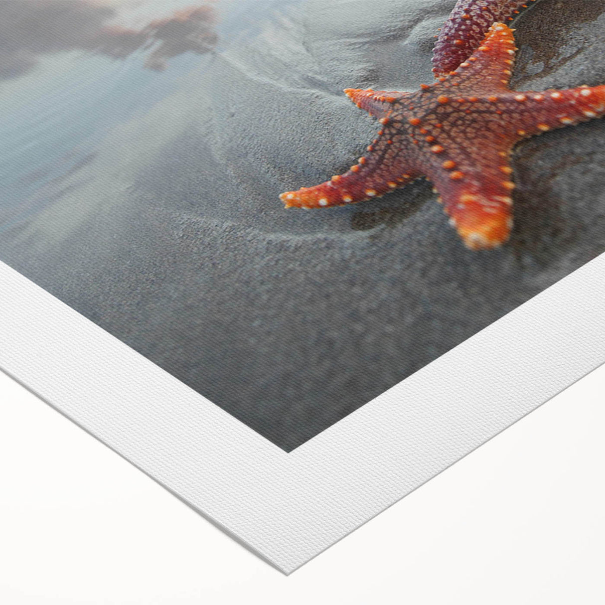 Rolled canvas artwork showcasing a vibrant starfish design in shades of blue and orange, perfect for marine-themed decor, presented in a protective cardboard tube.
