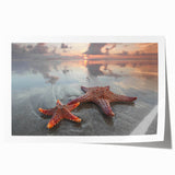 Vibrant marine life wall art print showcasing a detailed starfish design in shades of blue and orange, perfect for coastal-themed decor. Ideal for ocean lovers and home decoration.