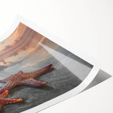 Colorful starfish wall art print showcasing intricate marine life designs, perfect for coastal home decor. Ideal for ocean enthusiasts and beach-themed interiors.
