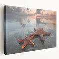 Stretched canvas wall art showcasing a vibrant starfish design, featuring rich colors and intricate details, ideal for marine-themed decor in coastal homes.