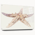 Acrylic glass wall art featuring a vibrant starfish design from the Marine Life collection, showcasing intricate details and colors, ideal for ocean-themed decor.