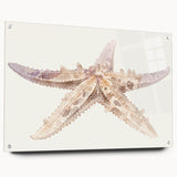 Acrylic glass wall art featuring a vibrant starfish design from the Marine Life collection, showcasing intricate details and colors, ideal for ocean-themed decor.