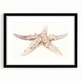 Black-framed wall art showcasing a marine life design featuring a colorful starfish, ideal for coastal decor enthusiasts, enhancing any ocean-themed interior space.