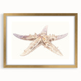 Framed wall art featuring a marine life starfish design in gold, showcasing intricate details and vibrant colors, perfect for coastal home decor.