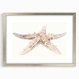 Framed wall art featuring a detailed starfish design in vibrant colors, set in a sleek silver frame with a mat for an elegant presentation, perfect for marine-themed decor.