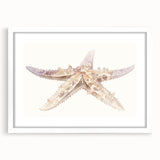 White-framed wall art featuring a marine life design with a starfish, showcasing intricate details and vibrant colors, perfect for coastal-themed home decor.