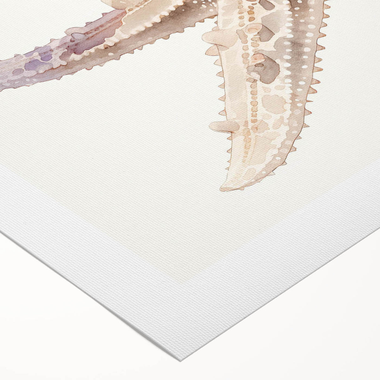 Colorful starfish design displayed on rolled canvas wall art, showcasing marine life in vibrant hues of blue and orange, ideal for ocean-themed decor.