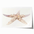 Vibrant starfish design wall art print showcasing marine life in vivid colors, rolled for easy shipping and display, perfect for coastal home decor enthusiasts.