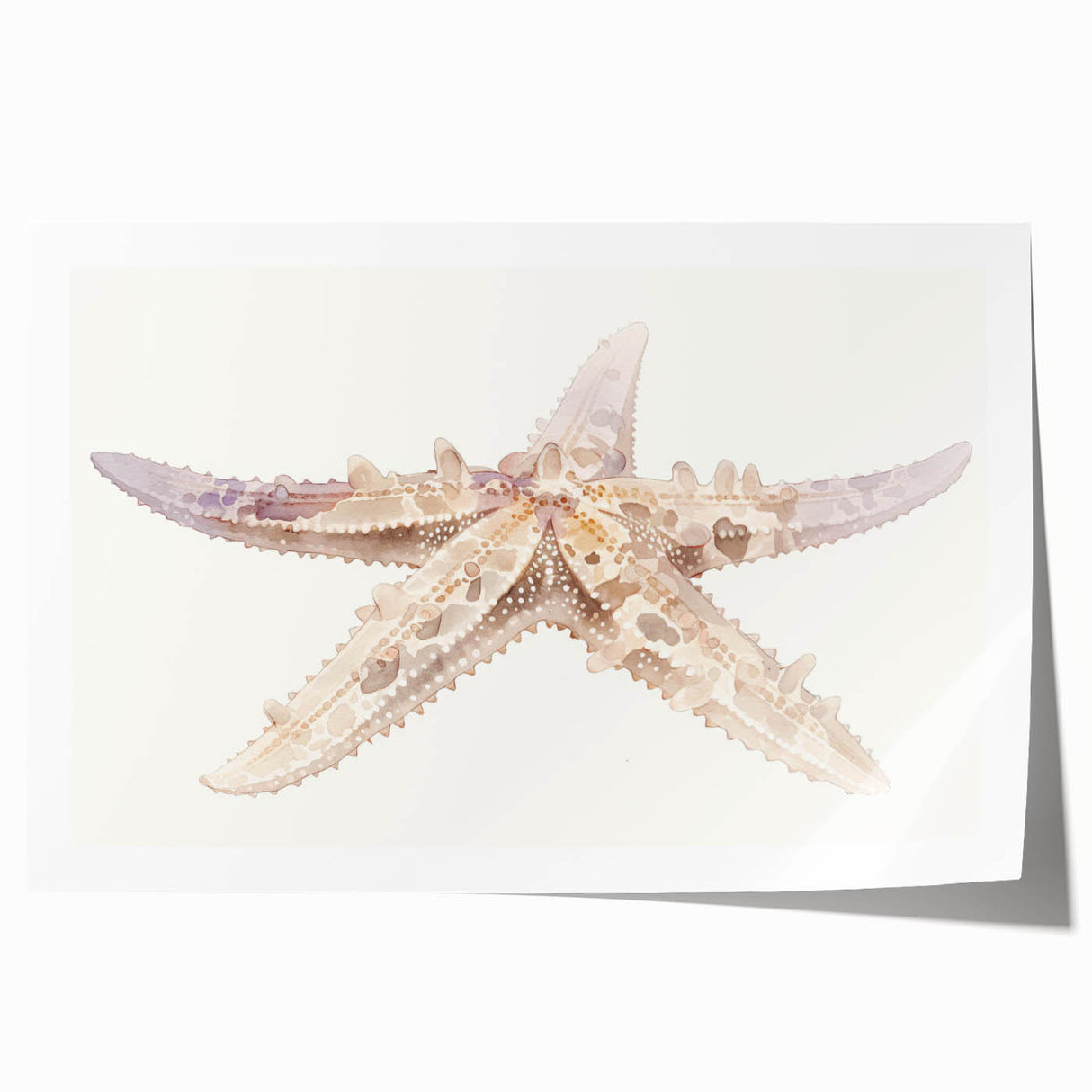 Vibrant starfish design wall art print showcasing marine life in vivid colors, rolled for easy shipping and display, perfect for coastal home decor enthusiasts.
