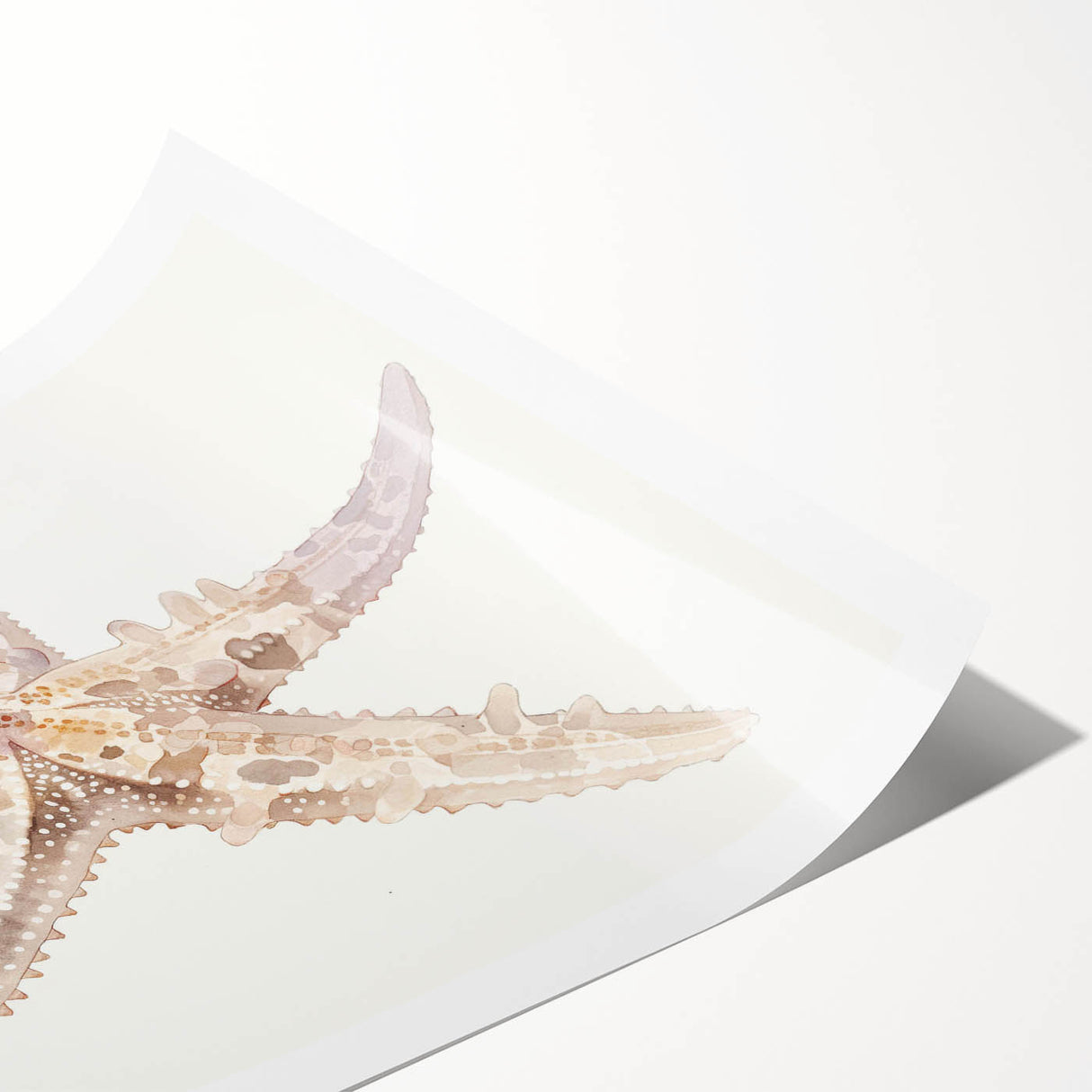 Vibrant marine life wall art featuring a detailed starfish design on a rolled print, showcasing intricate textures and colors, perfect for ocean-themed decor.