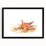 Stylish black-framed wall art showcasing a marine life starfish design, perfect for coastal decor enthusiasts. This vibrant piece adds a touch of oceanic charm to any room.
