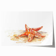 Vibrant marine life wall art featuring a colorful starfish design on a rolled print, ideal for ocean-themed decor and coastal-inspired interiors.