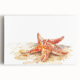 Colorful stretched canvas wall art featuring a vibrant starfish design, ideal for marine life enthusiasts. Perfect for beach-themed decor, adding a touch of oceanic charm to any room.