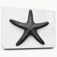 Acrylic glass wall art displaying a vibrant marine life starfish design, showcased from the side with decorative pins, perfect for coastal decor enthusiasts.