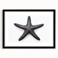 Framed wall art featuring a marine life starfish design with a black frame and mat, showcasing vibrant colors and intricate details, perfect for coastal decor.